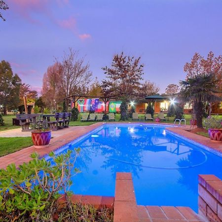 Airport Bird & Game Lodge Kempton Park Extérieur photo