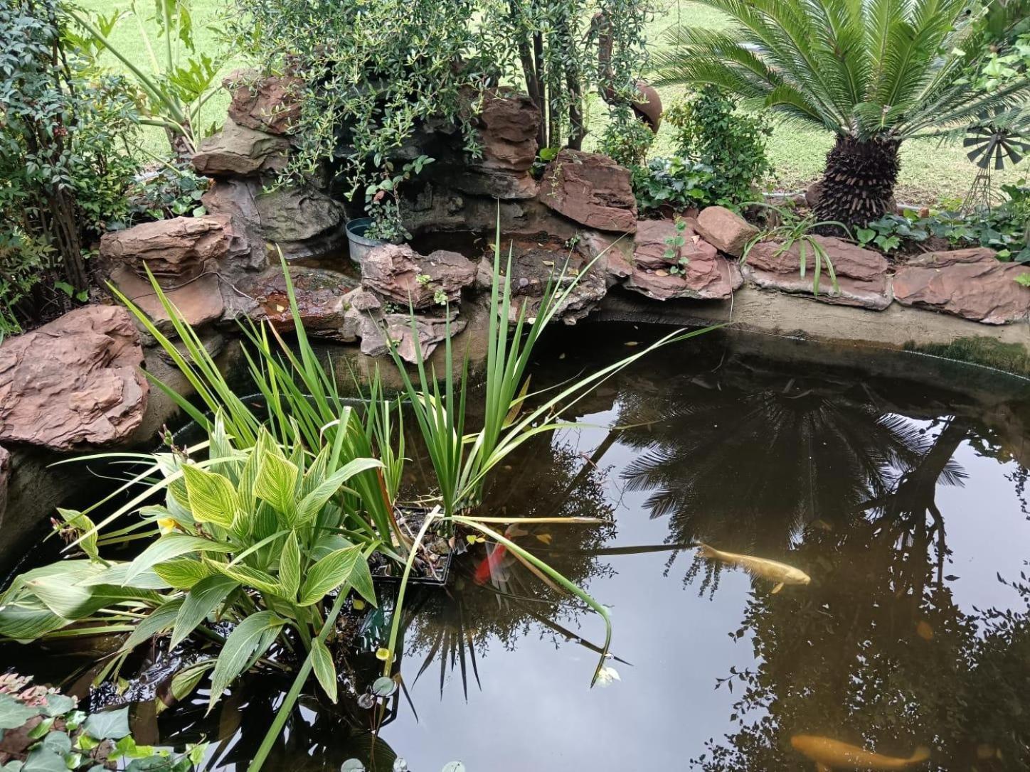 Airport Bird & Game Lodge Kempton Park Extérieur photo
